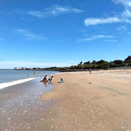 Merlettes Des Sables