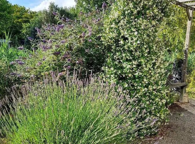 Merlettes Des Sables 3*